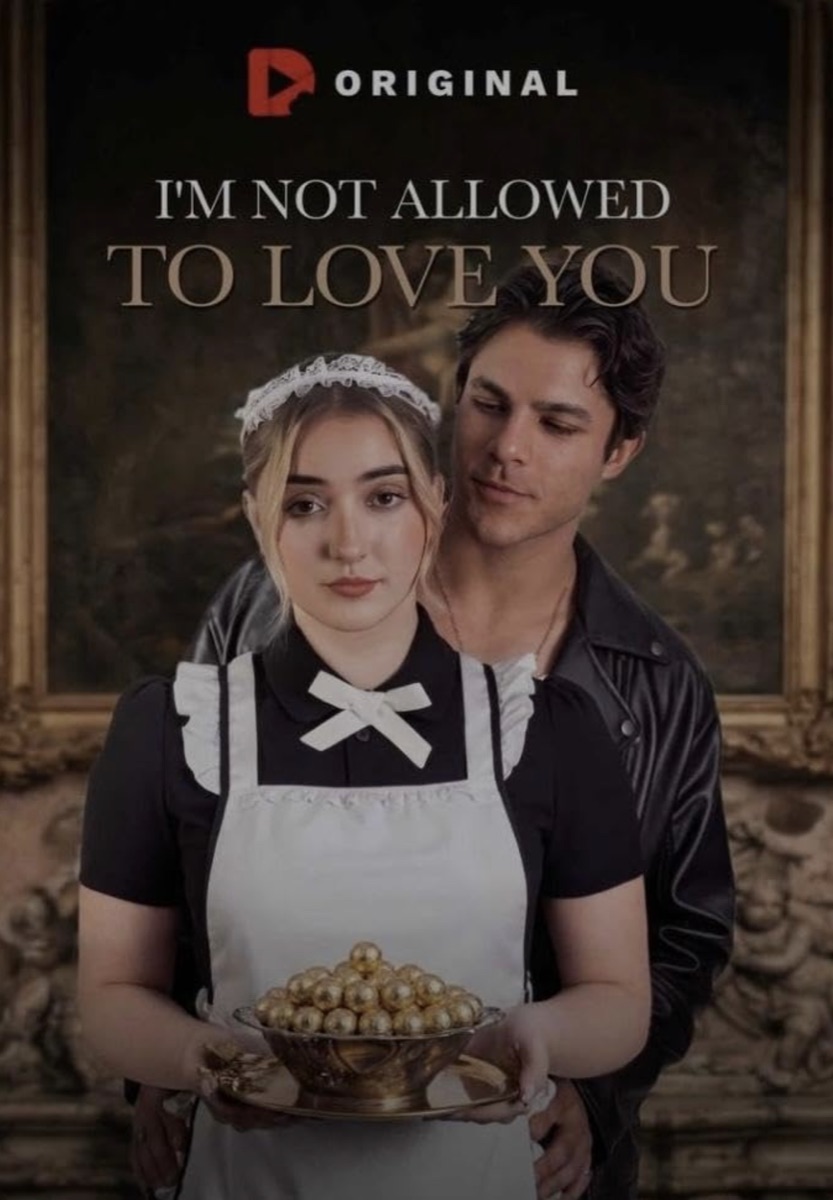 I'm Not Allowed to Love You