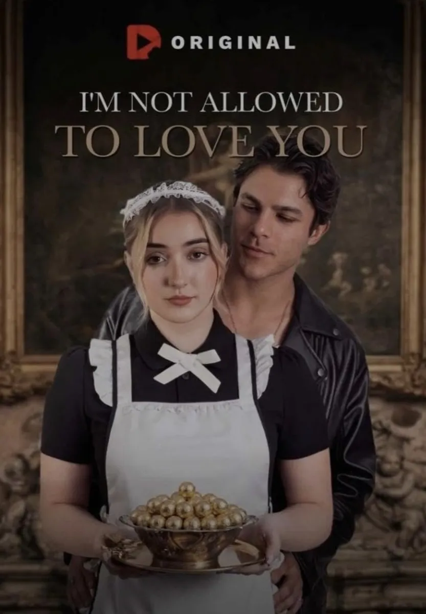 I'm Not Allowed to Love You